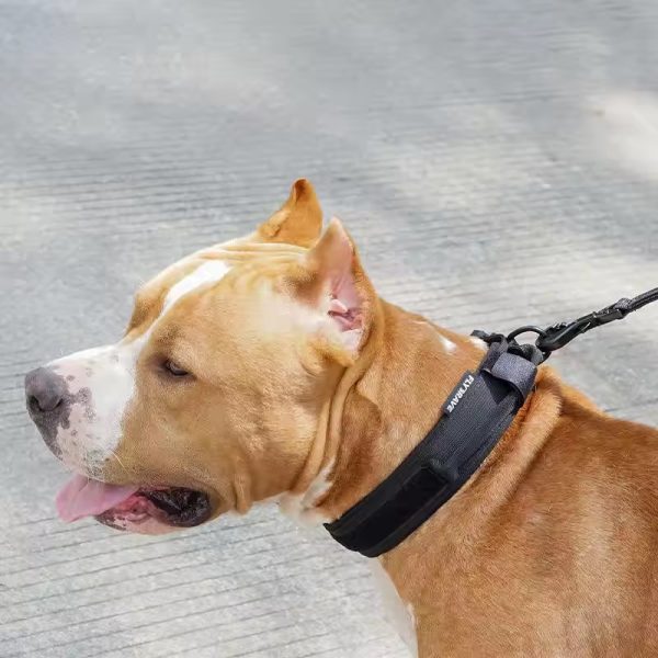 Collar Táctico Nylon Resistente - Imagen 9