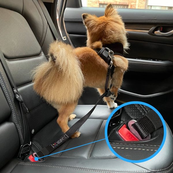 Cinturón de Seguridad Sencillo Para Carro - Imagen 2