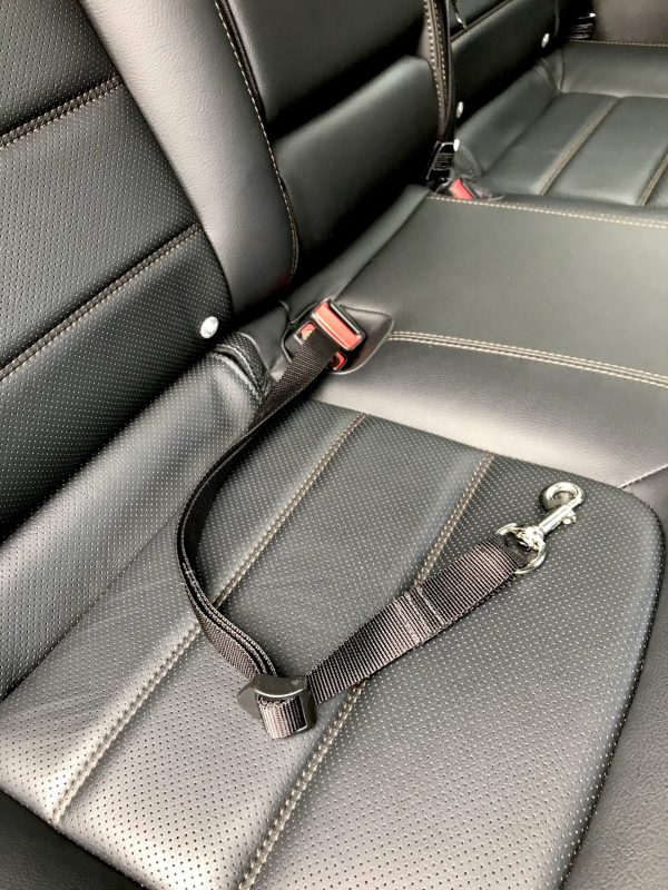 Cinturón de Seguridad Sencillo Para Carro - Imagen 6