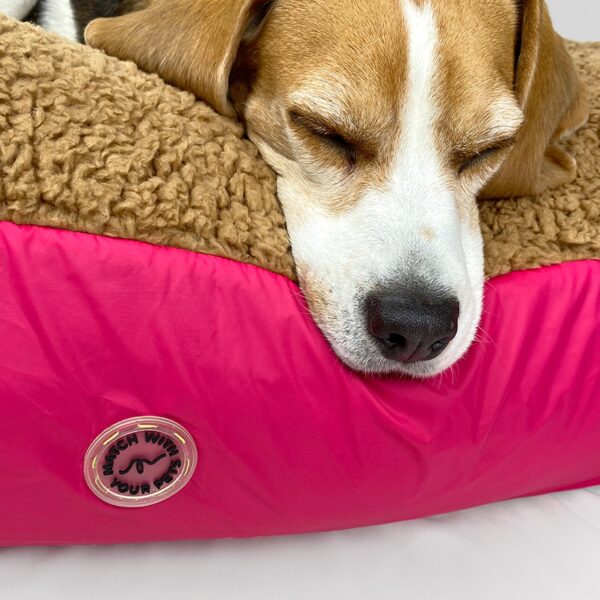 Camas Pet Friends - Imagen 7