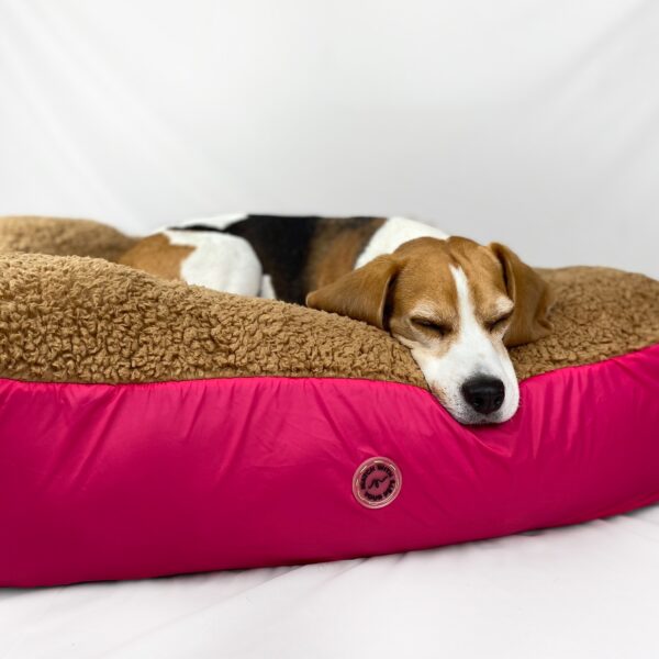 Camas Pet Friends - Imagen 6