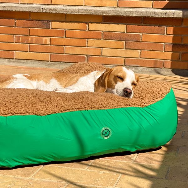 Camas Pet Friends - Imagen 4