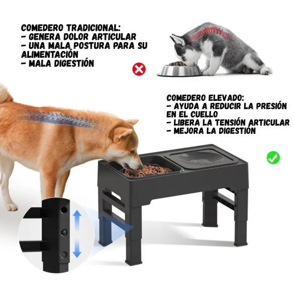 Comedero Elevado Ajustable - Imagen 6