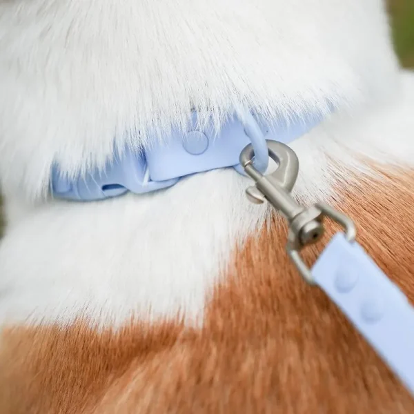 Collar en Neopreno Resistente al Agua - Imagen 9