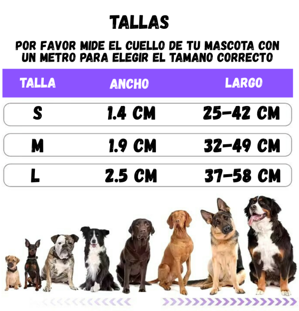 Collar en Neopreno Resistente al Agua - Imagen 11
