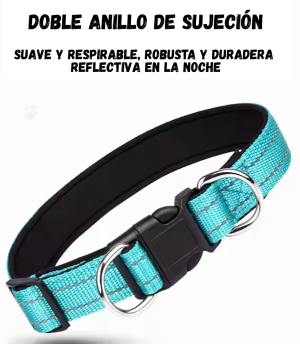 Collar en Nylon - Imagen 3