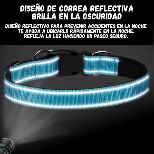 Collar en Nylon - Imagen 4