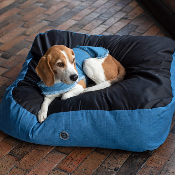 Camas Pet Friends - Imagen 23