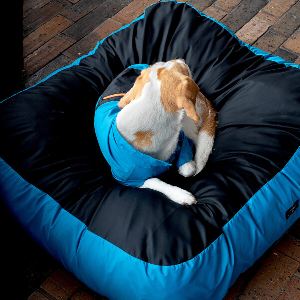Camas Pet Friends - Imagen 17