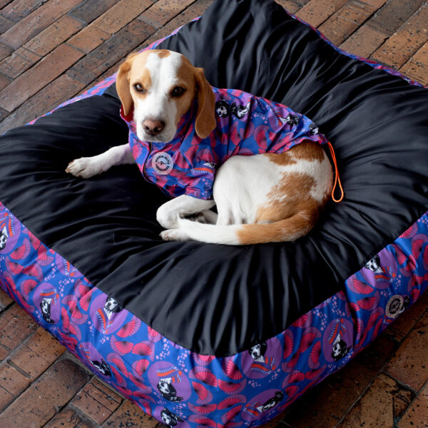Camas Pet Friends - Imagen 25
