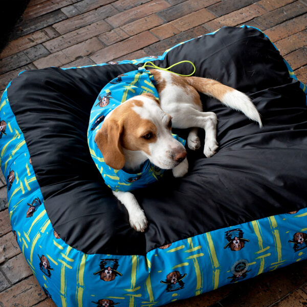 Camas Pet Friends - Imagen 19