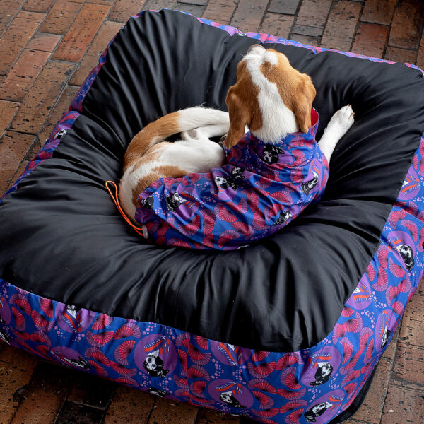 Camas Pet Friends - Imagen 26