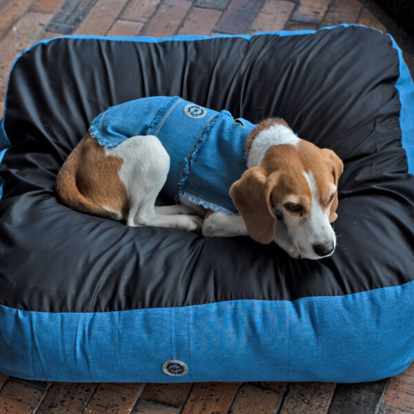 Camas Pet Friends - Imagen 22