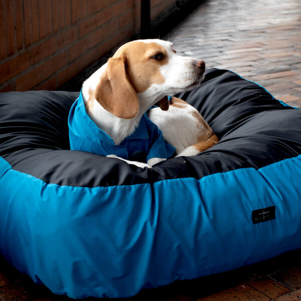Camas Pet Friends - Imagen 18